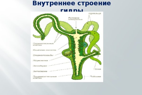 Как зайти в кракен через айфон