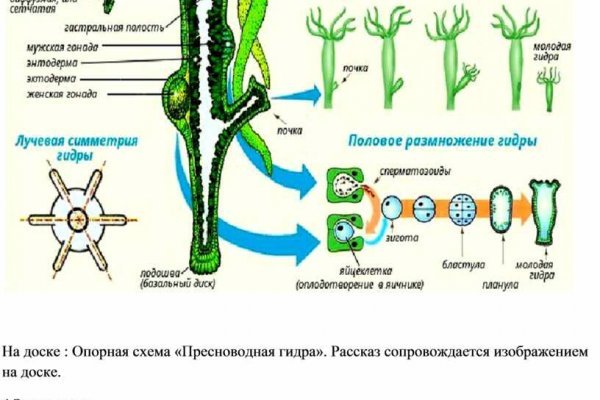 Рабочие ссылки и зеркала кракен