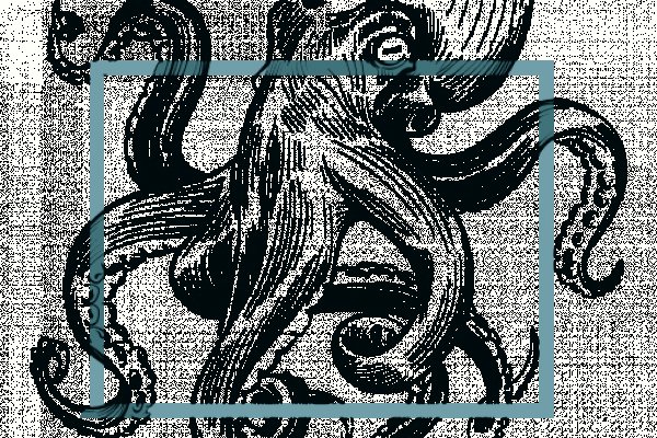Kraken18 at