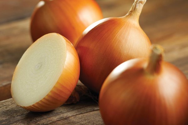 Кракен ссылка onion