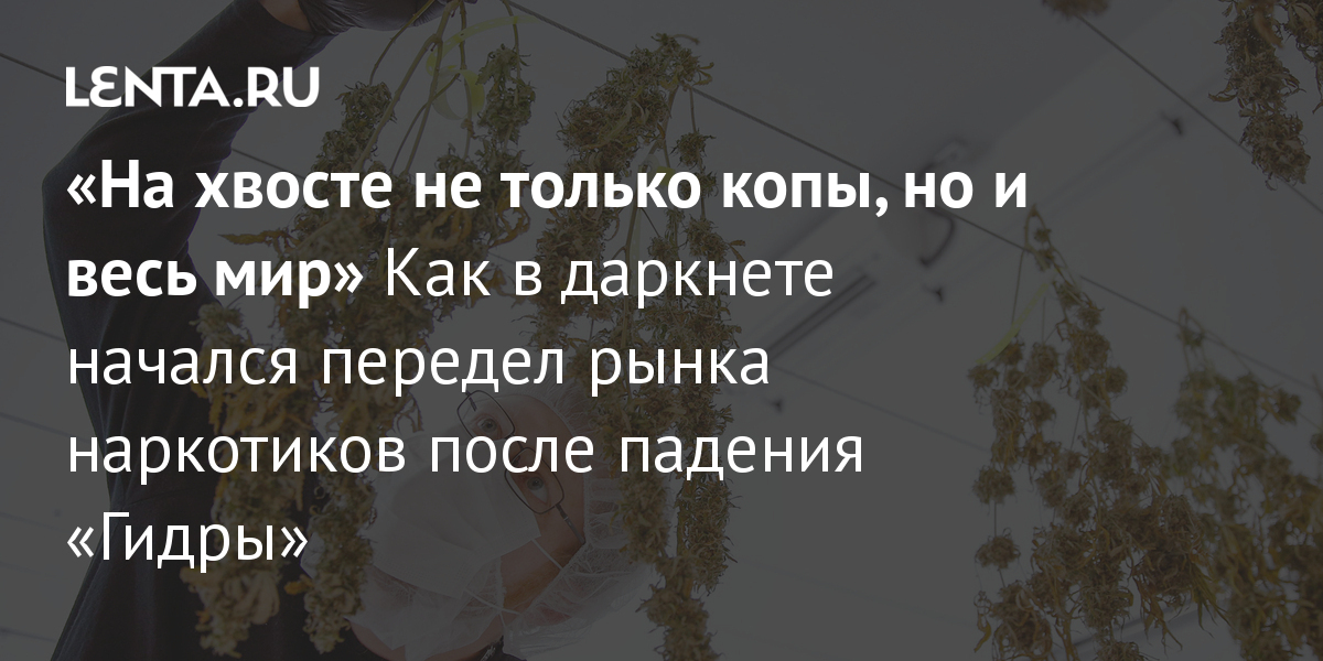 Кракен маркет что это